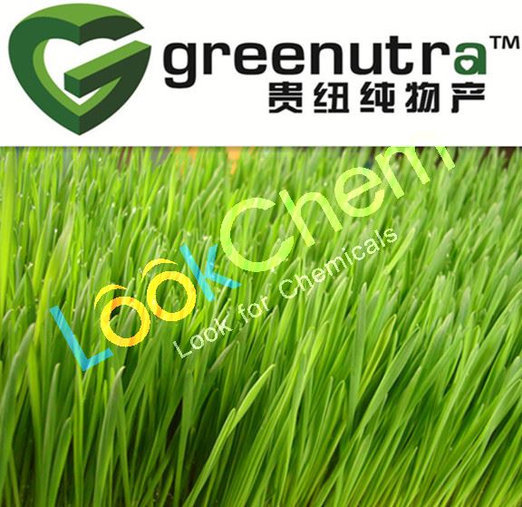 Offer high quality 84012-44-2 Wheat grass powder