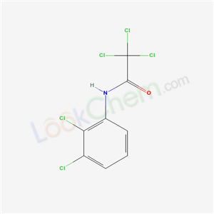 2,2,2-trichloro-N-(2,3-dichlorophenyl)acetamide cas  33560-53-1