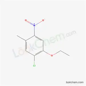 Molecular Structure of 67828-40-4 (5-chloro-4-ethoxy-2-nitrotoluene)