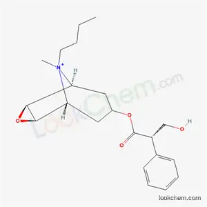 Molecular Structure of 7182-53-8 ((S)-α-(Hydroxymethyl)benzeneacetic acid (1β,2α,4α,5β,7α)-9-butyl-9-methyl-3-oxa-9-azoniatricyclo[3.3.1.02,4]nonane-7-yl ester)