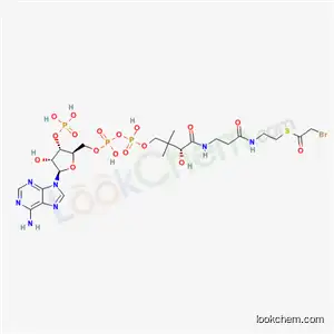 2-bromoacetyl coenzyme A