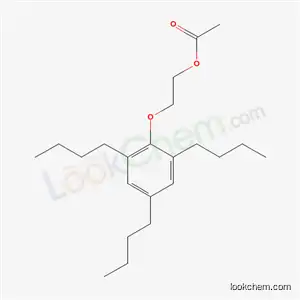 Molecular Structure of 82199-17-5 (2-(2,4,6-tributylphenoxy)ethyl acetate)