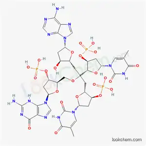 Molecular Structure of 80565-17-9 (2'-deoxyadenylyl(3'-5')thymidylyl(3'-5')deoxyguanosylyl(3'-5')thymidine)
