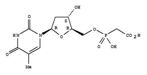 Thymidine, 5'-[hydrogen(carboxymethyl)phosphonate] (9CI)