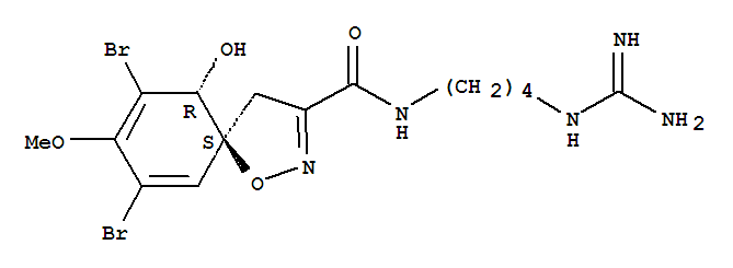 Molecular Structure of 167394-77-6 (1-Oxa-2-azaspiro[4.5]deca-2,6,8-triene-3-carboxamide,N-[4-[(aminoiminomethyl)amino]butyl]-7,9-dibromo-10-hydroxy-8-methoxy-,(5S,10R)-)