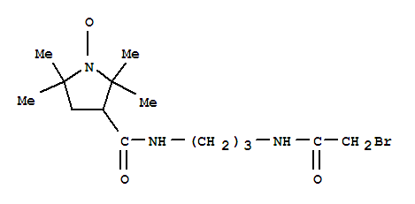 1-Pyrrolidinyloxy,3-[[[3-[(bromoacetyl)amino]propyl]amino]carbonyl]-2,2,5,5-tetramethyl- (9CI)