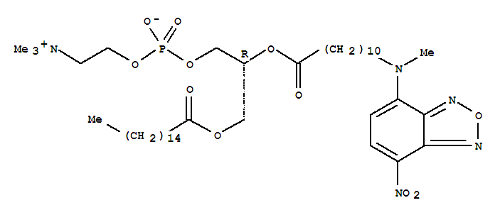 [3-hexadecanoyloxy-2-[11-[methyl-(4-nitro-2,1,3-benzoxadiazol-7-yl)amino]undecanoyloxy]propyl] 2-(trimethylazaniumyl)ethyl phosphate