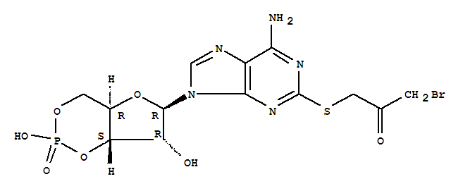 2-((3-BROMO-2-OXOPROPYL)THIO)-ADENOSINE 3'5'-CYCL...