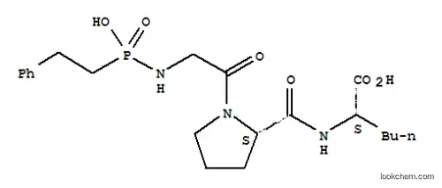 Molecular Structure of 130365-59-2 (N-(phenylethylphosphonyl)-glycyl-prolyl-aminohexanoic acid)