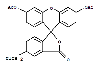 [6'-acetyloxy-5-(chloromethyl)-3-oxospiro[2-benzofuran-1,9'-xanthene]-3'-yl] Acetate
