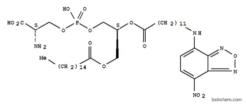 1-Palmitoyl-2-(N-(12-((7-nitrobenz-2-oxa-1,3-diazole-4-yl)amino)dodecanoyl))phosphatidylserine