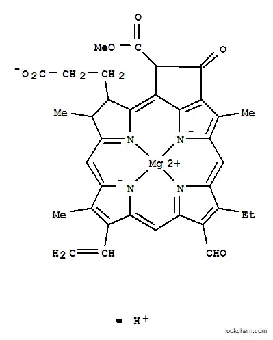 Molecular Structure of 14428-12-7 (chlorophyllide b)