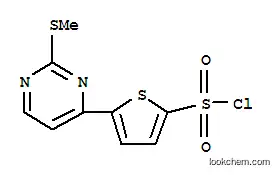 Molecular Structure of 175202-76-3 (5-[2-(METHYLTHIO)PYRIMIDIN-4-YL]THIOPHENE-2-SULFONYL CHLORIDE)