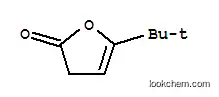 Molecular Structure of 19918-17-3 (5-tert-butyl-3H-furan-2-one)