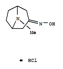 8-METHYL-8-AZABICYCLO[3.2.1]OCTAN-3-ONE OXIME HYDROCHLORIDE