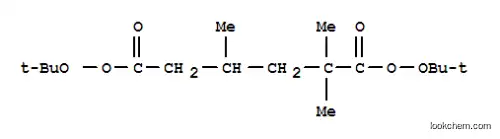 Molecular Structure of 21850-39-5 (di-tert-butyl 2,2,4-trimethyldiperoxyadipate)