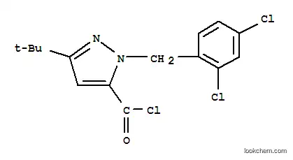 Molecular Structure of 306937-15-5 (3-(TERT-BUTYL)-1-(2,4-DICHLOROBENZYL)-1H-PYRAZOLE-5-CARBONYL CHLORIDE)