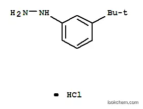 Molecular Structure of 306937-27-9 (1-[3-(TERT-BUTYL)PHENYL]HYDRAZINE HYDROCHLORIDE)