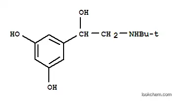 Molecular Structure of 46719-29-3 (Terbutaline)