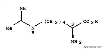 Molecular Structure of 53774-63-3 (N-(5-AMINO-5-CARBOXYPENTYL)-ACETAMIDINE)