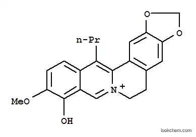 Molecular Structure of 53912-47-3 (13-propylberberine)