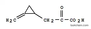 Molecular Structure of 5746-24-7 (ketohypoglycin)