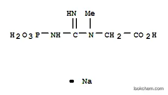sodium N-[imino(phosphonoamino)methyl]-N-methylaminoacetate
