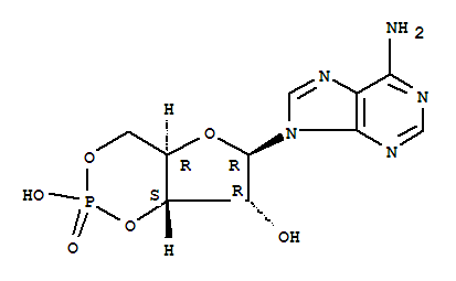 amp cyclic structure molecular name adenosine lookchem