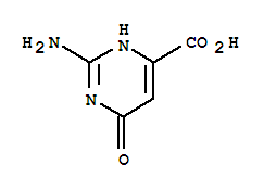 2-AMino-6-hydroxy-pyriMidine-4-carboxylic acid CAS No.6973-52-0