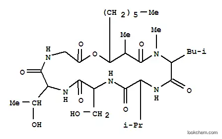 Molecular Structure of 74504-49-7 (Glycine, N-(N-(N-(N-(N-(3-hydroxy-2-methyl-1-oxononyl)-N-methyl-L-leuc yl)-L-valyl)-L-seryl)-L-allothreonyl)-, rho-lactone)