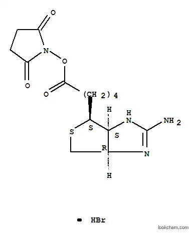Molecular Structure of 76939-67-8 (2-IMINOBIOTIN N-HYDROXYSUCCINIMIDE ESTER)