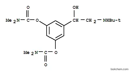 Molecular Structure of 81732-65-2 (Bambuterol)