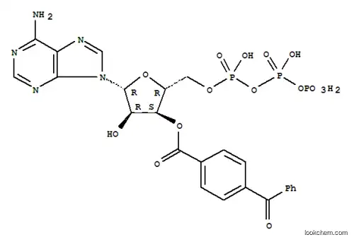 Molecular Structure of 81790-82-1 (3'-O-(4-benzoyl)benzoyladenosine 5'-triphosphate)