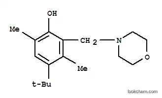 Molecular Structure of 84824-96-4 (4-tert-butyl-2-(morpholinomethyl)-3,6-xylenol)