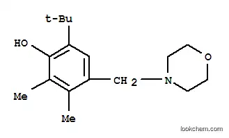 Molecular Structure of 84824-98-6 (6-tert-butyl-4-(morpholinomethyl)-2,3-xylenol)