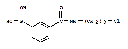 N-(3-Chloropropyl) 3-boronobenzamide