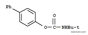 Molecular Structure of 122861-89-6 (biphenyl-4-yl tert-butylcarbamate)