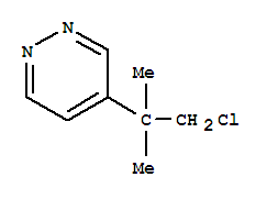 Pyridazine, 4-(2-chloro-1,1-dimethylethyl)-