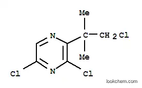 Molecular Structure of 124420-63-9 (3,5-dichloro-2-(1-chloro-2-methylpropan-2-yl)pyrazine)