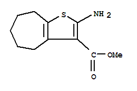 METHYL 2-AMINO-5,6,7,8-TETRAHYDRO-4H-CYCLOHEPTA[B]THIOPHENE-3-CARBOXYLATE