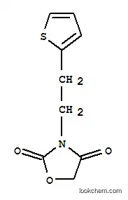 Molecular Structure of 93241-67-9 (3-(2-(2-thienyl)ethyl)-2,4-oxazolidenedione)