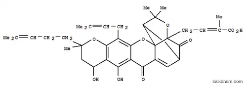 Neogambogic acid