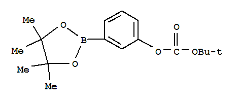 Carbonicacid, 1,1-dimethylethyl 3-(4,4,5,5-tetramethyl-1,3,2-dioxaborolan-2-yl)phenylester