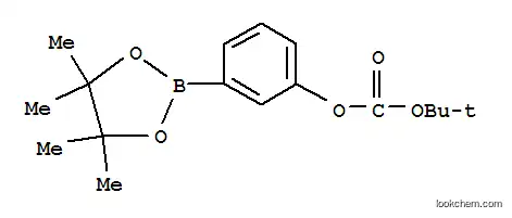 Molecular Structure of 480438-74-2 (TERT-BUTYL-3-(4,4,5,5-TETRAMETHYL-1,3,2-DIOXABOROLAN-2-YL)PHENYL CARBONATE)