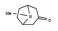 Molecular Structure of 532-24-1 (Tropinone)