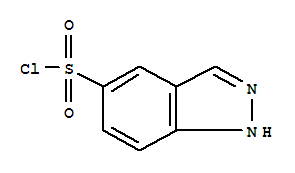 1H-Indazole-5-sulfonyl chloride 599183-35-4