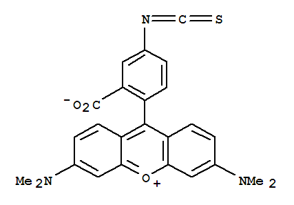 Tetramethylrhodamine-5-isothiocyanate