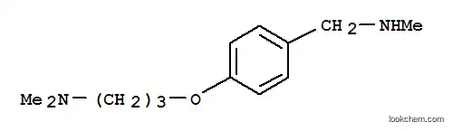 Molecular Structure of 910037-04-6 (4-[3-(Dimethylamino)propoxy]-N-methylbenzylamine)