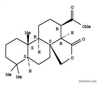 Molecular Structure of 106019-61-8 (21-Oxo-8,14β-(methanoxymethano)podocarpane-13β-carboxylic acid methyl ester)