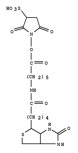 Hexanoic acid,6-[[5-(hexahydro-2-oxo-1H-thieno[3,4-d]imidazol-4-yl)-1-oxopentyl]amino]-,2,5-dioxo-3-sulfo-1-pyrrolidinyl ester